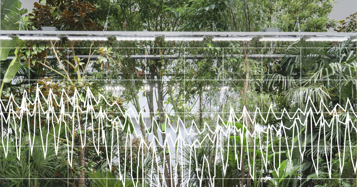 Building Biospheres: Six Months of Experiments | VAi