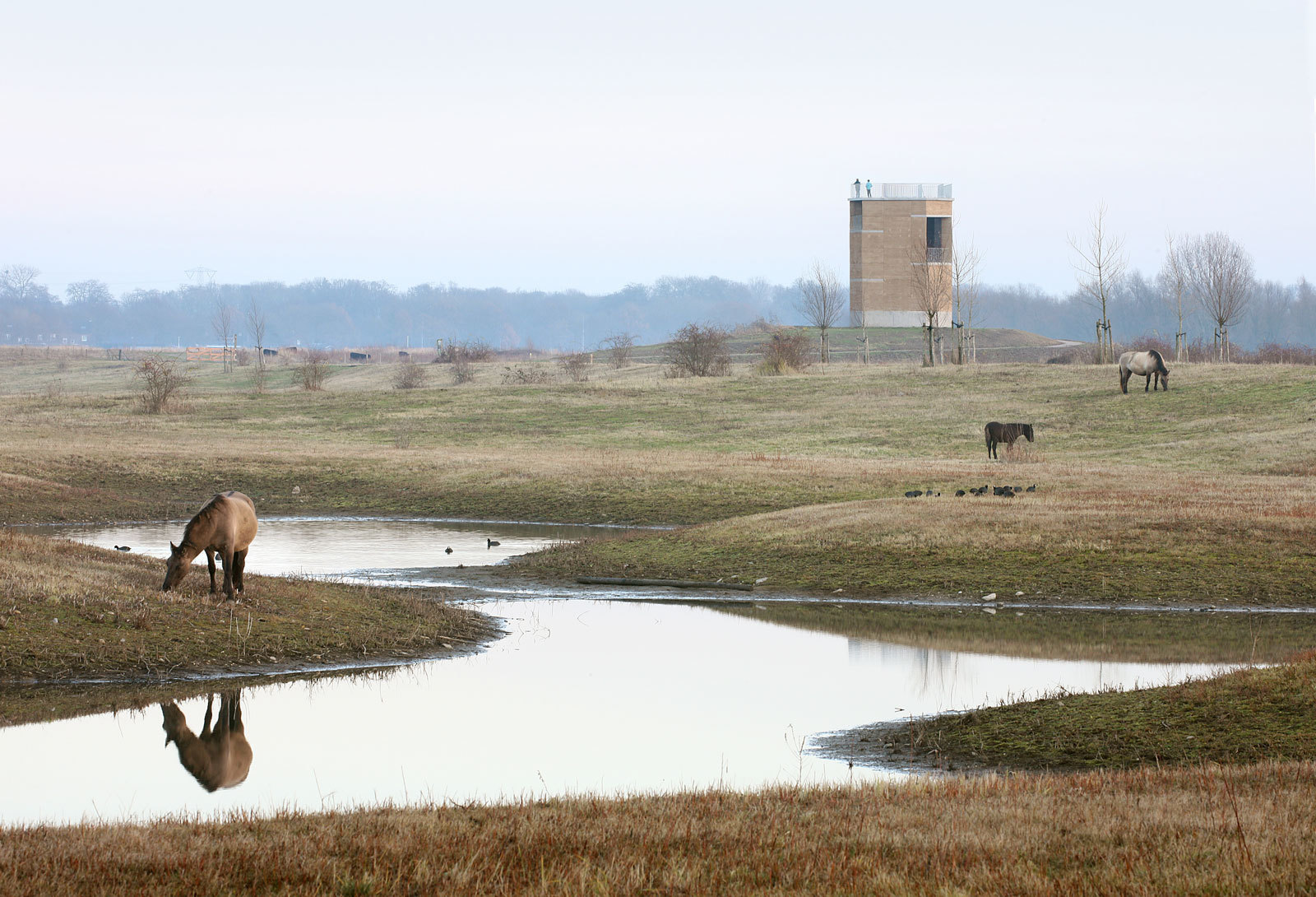 Uitkijktoren Negenoord Dilsen-Stokkem, De Gouden Liniaal Architecten © Filip Dujardin